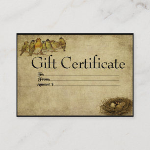 Aves En Tarjetas De Certificado De Regalo De Fila-
