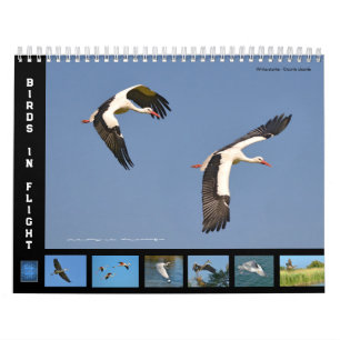 Aves en vuelo calendario de 12 meses