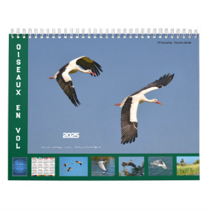 Aves en vuelo calendario de 12 meses