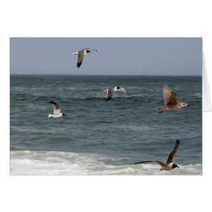 Aves en vuelo de Shirley Taylor