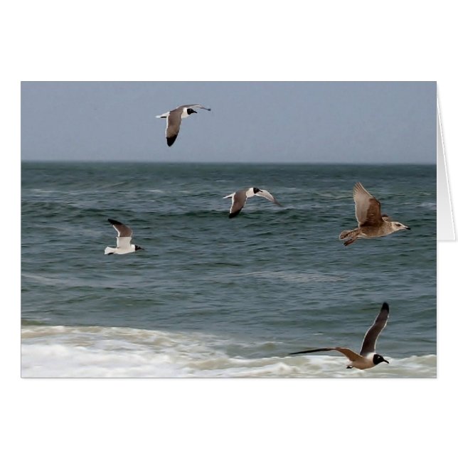 Aves en vuelo de Shirley Taylor (Anverso (Horizontal))