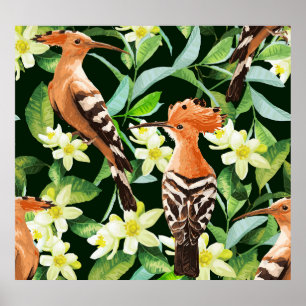 Aves exóticas: Impresión de cosecha tropical