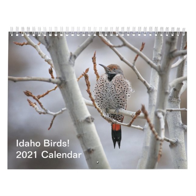 ¡Aves Idaho! Calendario 2021 (Tapa)