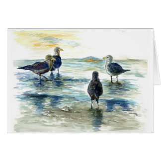 Aves marinas en la playa