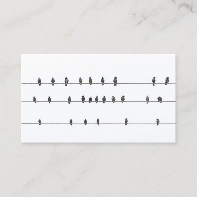 Aves mínimas simples en alambres| Tarjeta de prese (Anverso)