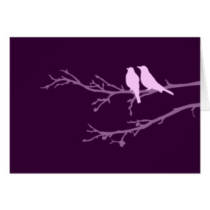 aves modestas