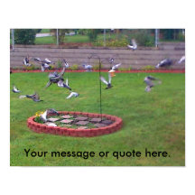 Aves Pigeons Volando hacia tus Posters de texto