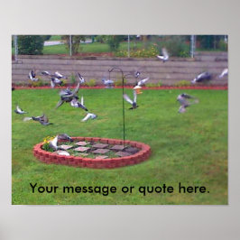 Aves Pigeons Volando hacia tus Posters de texto