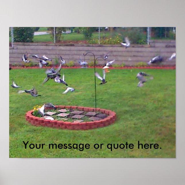 Aves Pigeons Volando hacia tus Posters de texto (Frente)