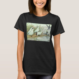 Aves playeras vintage en una marisma de Louis Fuer