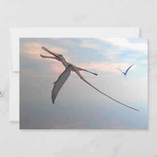 Aves prehistóricas de Anhanguera