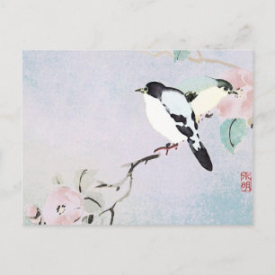 Aves relajantes ~ Postales