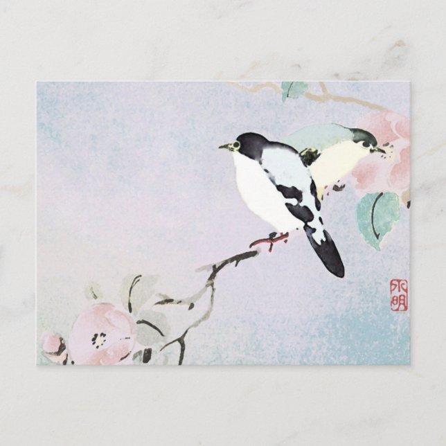 Aves relajantes ~ Postales (Anverso)
