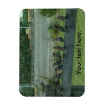 Aves resplandecientes sentados en imanes ferroviar