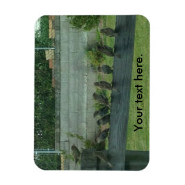 Aves resplandecientes sentados en imanes ferroviar