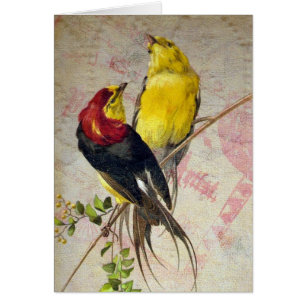 Aves Rojas y Amarillas Vintage Tarjetas de Saludo 