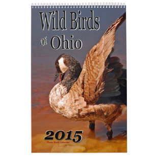 Aves Silvestres Del Calendario De Ohio