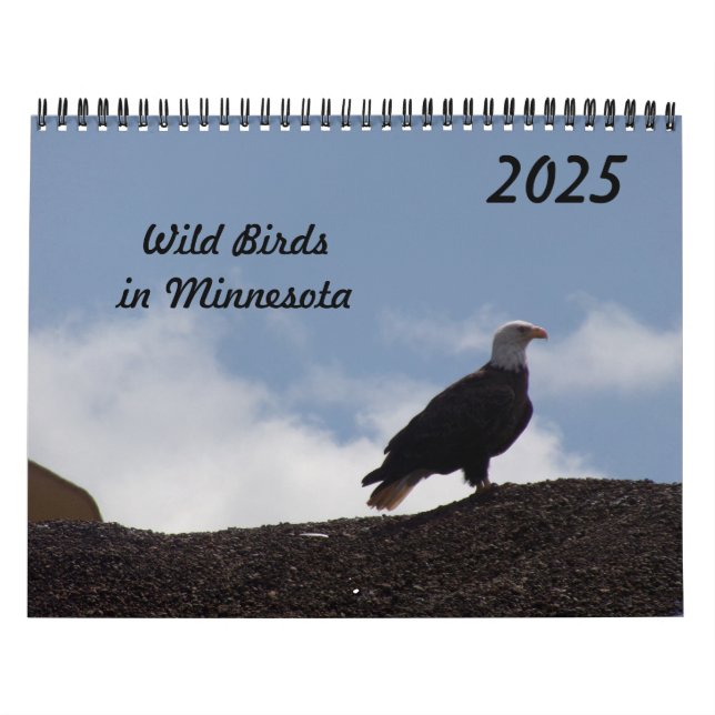 Aves silvestres en el calendario Minnesota 2025 (Tapa)