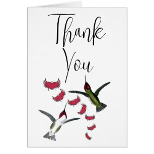 Aves tartamudeadas arrancan el corazón con alas