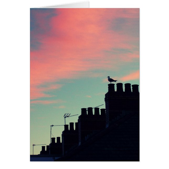 Aves tempranas (Frente)