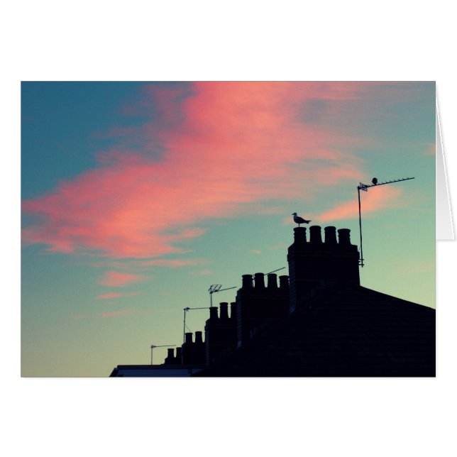 Aves tempranas (Anverso (Horizontal))