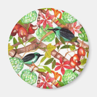 Aves tropicales y imán de frutas