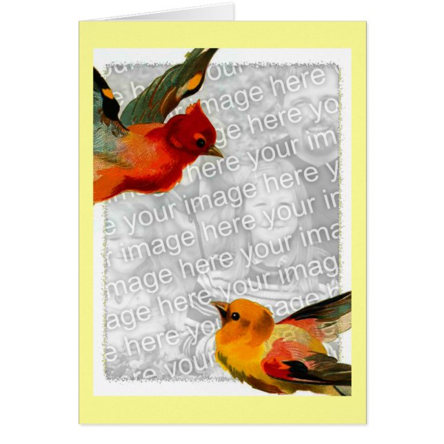 Aves, tu foto aquí (Frente)