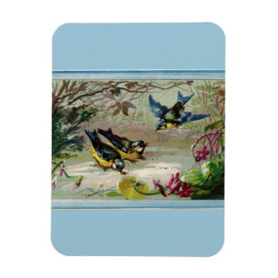 Aves viejas en el imán fotográfico de la nieve