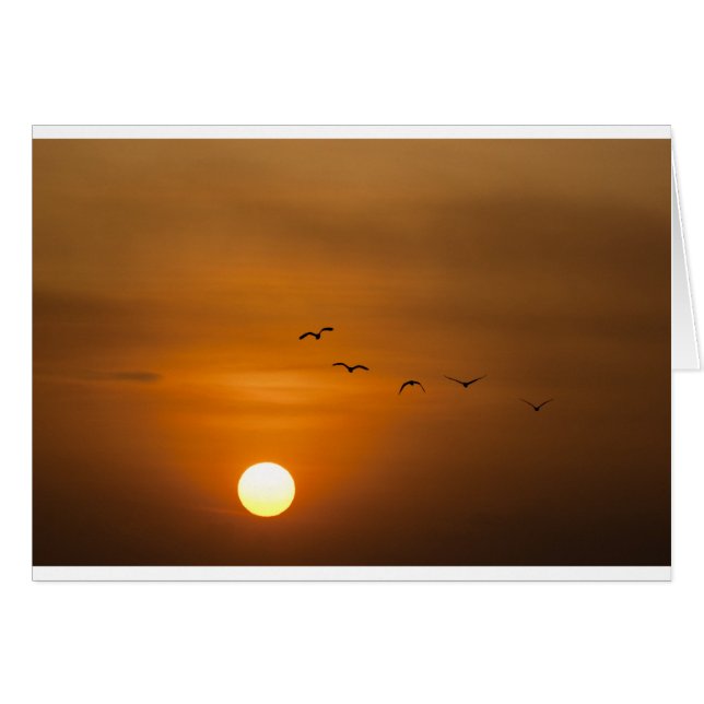 Aves volando al atardecer (Anverso (Horizontal))