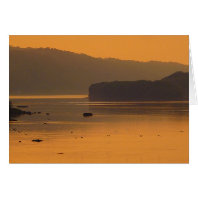 Aves volando sobre el agua al atardecer (Anverso (Horizontal))