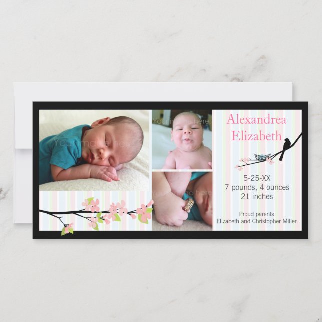 Aves y flores en anuncio de nacimiento de foto ros (Anverso)