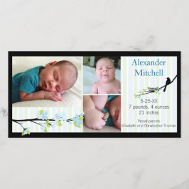 Aves y flores en el anuncio del nacimiento del Blu