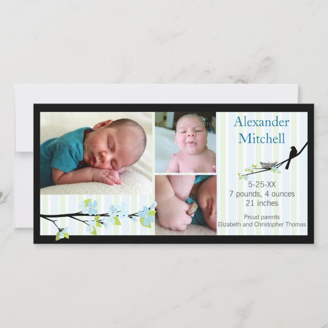 Aves y flores en el anuncio del nacimiento del Blu (Anverso)