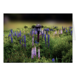 Aves y Lupines