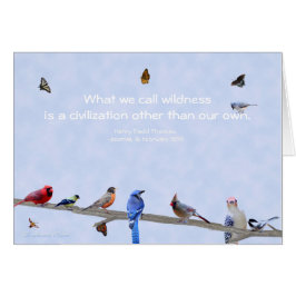 Aves y mariposas: civilización distinta de la nues