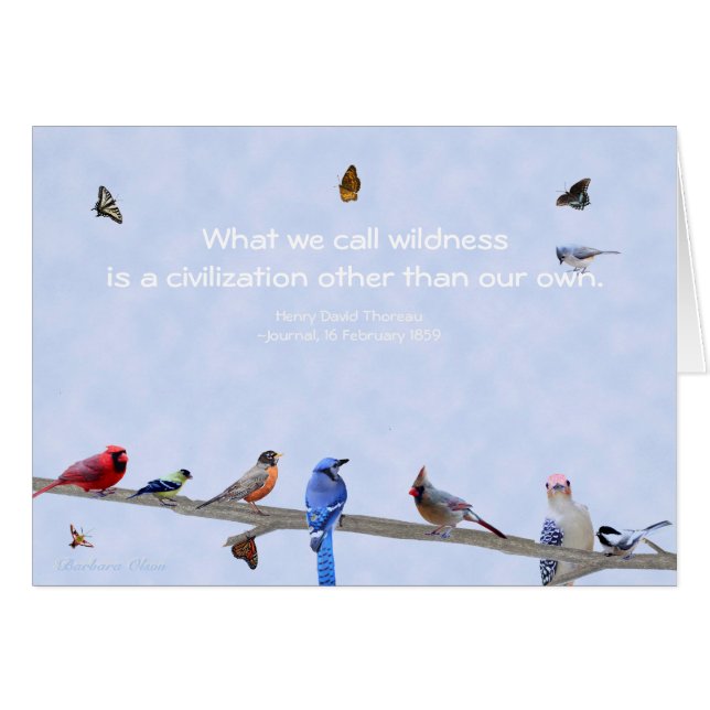 Aves y mariposas: civilización distinta de la nues (Anverso (Horizontal))