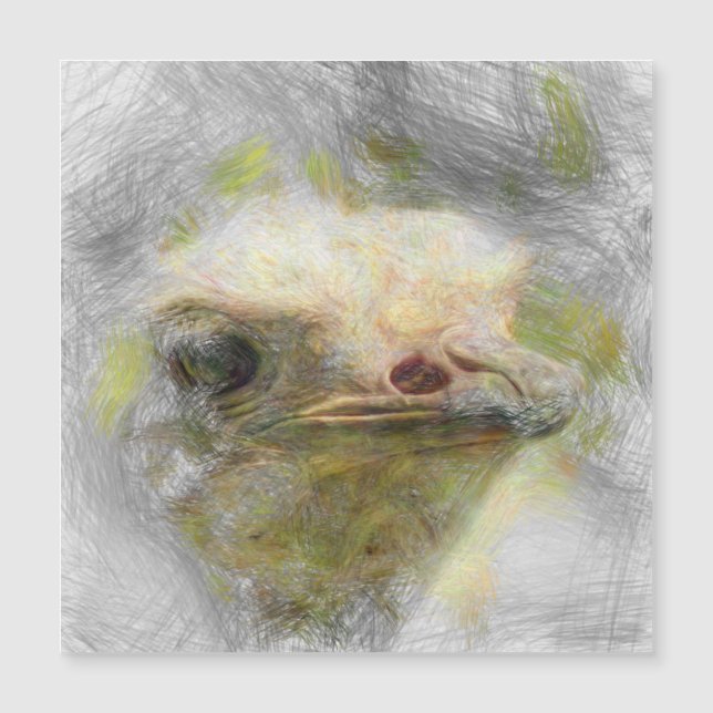 avestruz animal artístico (Anverso)