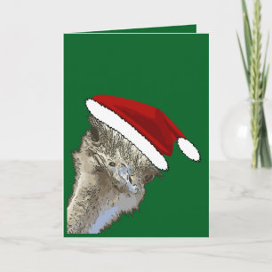 Avestruz con sombrero de Santa Navidad Animal del 