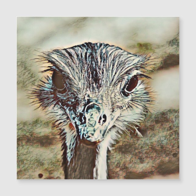 avestruz de toony (Anverso)