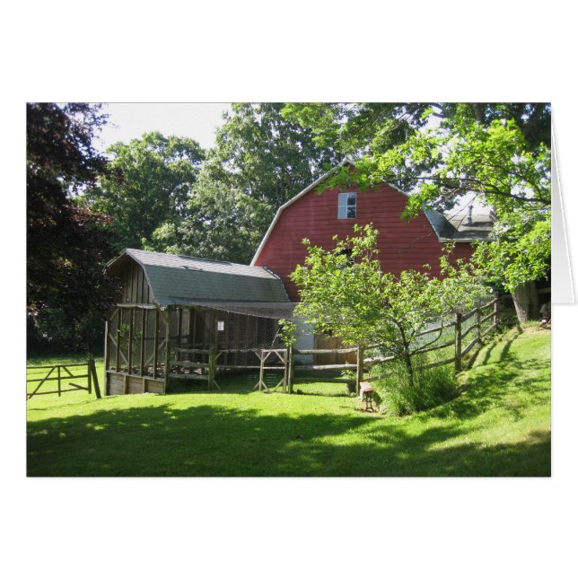 Aviario (Anverso (Horizontal))