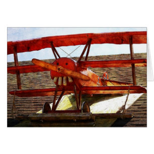 Avión Antiguo de Shirley Taylor