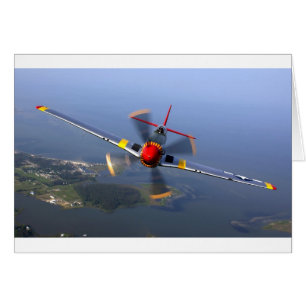 Avión clásico