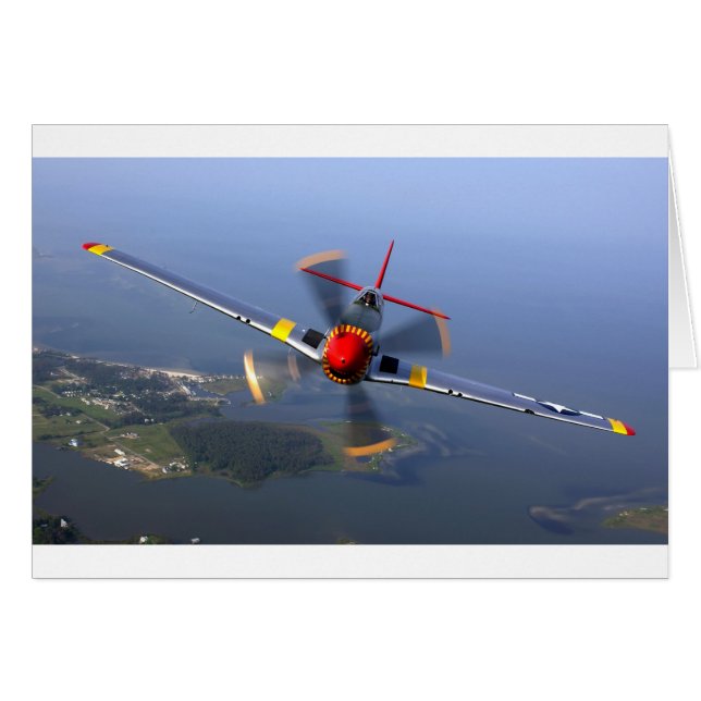 Avión clásico (Anverso (Horizontal))