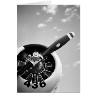 Avión de combate WW2