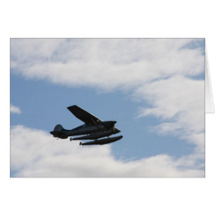 Avión de mar Sillhouette