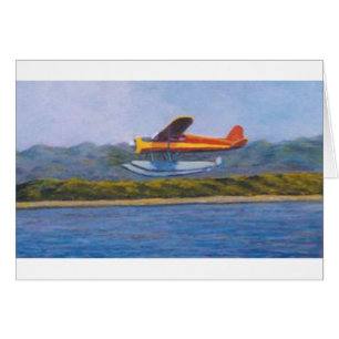 avión del flotador