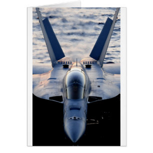 Avión militar