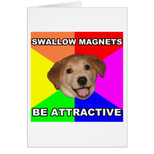 Aviso Perro Tragar imanes