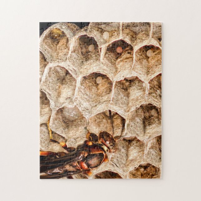 Avispa de papel con rompecabezas de la jerarquía y (Vertical)