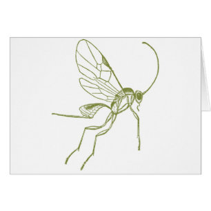 Avispa, Hyphantria de Meteorus